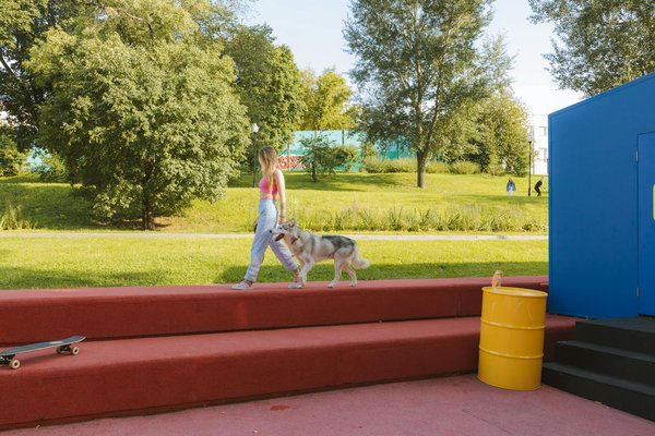 Welche Rolle spielen territoriale Unterschiede bei Tierkonflikten?
